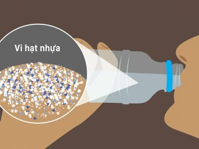 Hạt vi nhựa là gì? Tác hại của hạt vi nhựa đối với sức khỏe con người